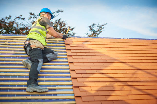 Steel Roofing in Lumberton, TX